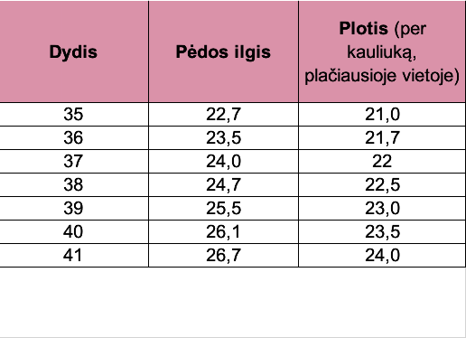 Aukštakulnės vestuvinės basutės - 5cm pakulne, Elegance B5